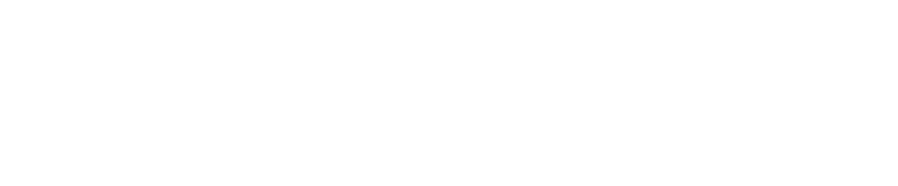 Kiwi Rail Forms